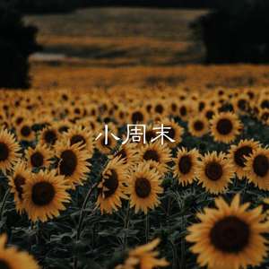 向南边