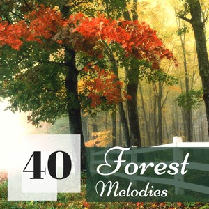 40 Forest Melodies - Relaxing Sounds of Nature to Reduce Stress & Positive Attitude