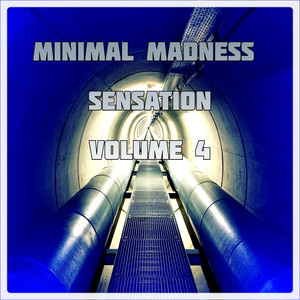 Minimal Madness Sensation, Vol.4