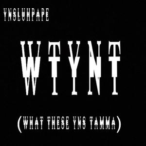 WTYNT (feat. luhkari) (What these yns tamma|Explicit)