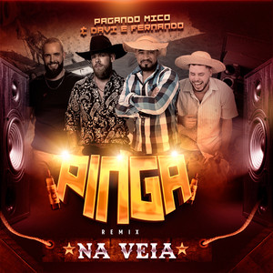 Pinga na Veia (Remix)