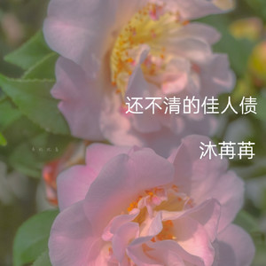 还不清的佳人债