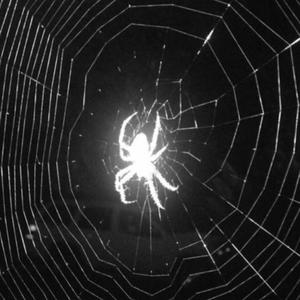 aint ya man! (feat. slimepxkk) (Explicit)