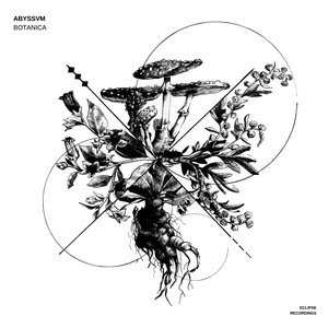 Amanita Muscaria (Original Mix)