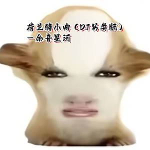 荷兰猪小曲 (DJ另类版)