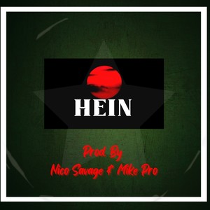 Hein (feat. Nico Savage)