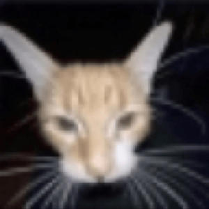 L.M.N.U. (feat. Plotki) (Explicit)