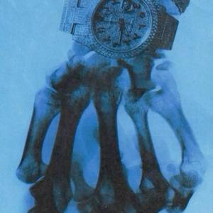 Z6 Stepping (Explicit)