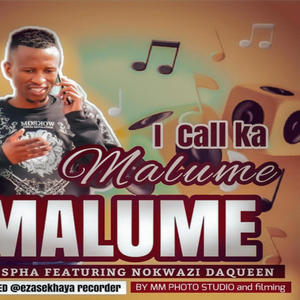 Call Ka"Malume_Rtk Spha feat Nokwazi Da (feat. Nokwazi Da Queen) [Radio Edit]