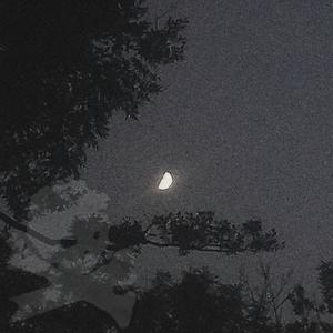 thru the night (feat. superybf!) (Explicit)