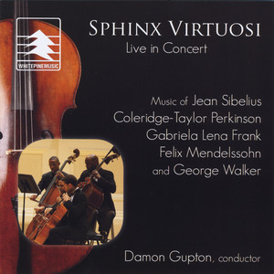 Sinfonietta No. 1 for Strings: III. Rondo - Allegro Furioso