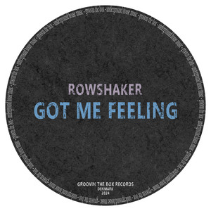 Got Me Feelin (Millennium Funk Mix)