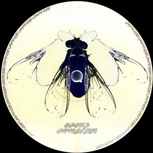 HOUSEFLYS