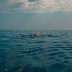 Took a Shot (Explicit)