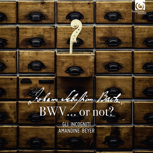 Suite in A Major, BWV 1025 - VII. Allegro(Bonus Track)
