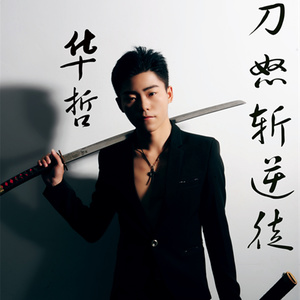 MC华哲 - 一人饮酒醉