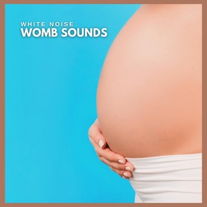 White Noise: Womb Sounds