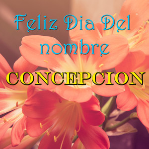 Feliz Dia Del nombre Concepcion