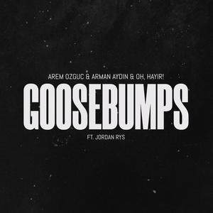 goosebumps (feat. Jordan Rys)