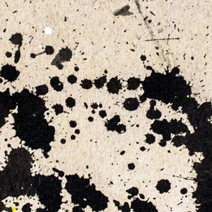 Torgue - Freebird (Original Mix)