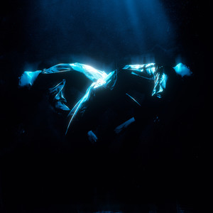 Roses on Jeans (TERESHUK Remix)