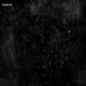 Hybrid