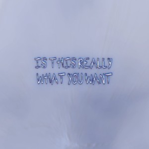 Is This Really What You Want?