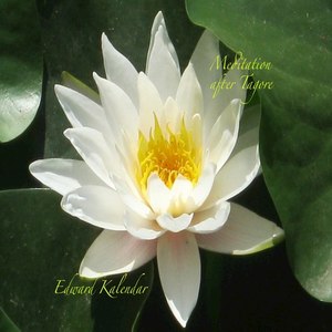 Meditation After Tagore - Single