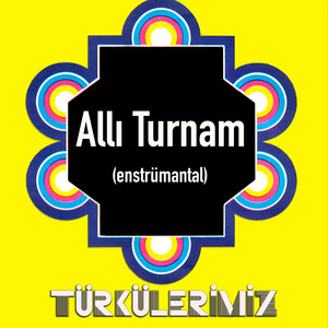 Türkülerimiz / Allı Turnam (Enstrümantal)