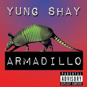 Armadillo (Explicit)