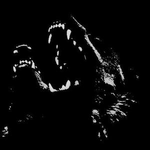 Top Dawgs (feat. zqnnex) (Explicit)