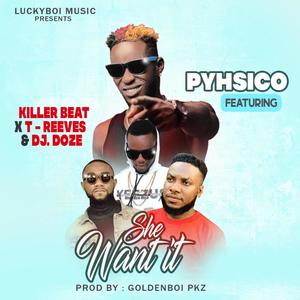 She Want It Physico(feat. Dj Doze, Killer beat & T Reeves Liberian music) (Explicit)