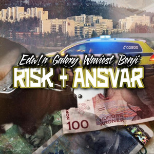 Risk + Ansvar (Explicit)
