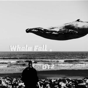 DTZ-鲸落Whale Fall