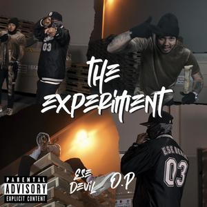 The Experiment (Explicit)