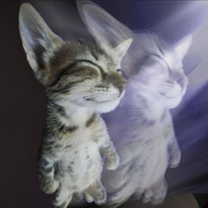 i asked hallow if i could use his adlibs (Explicit)