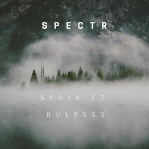 Spectr (feat. RULEXXX)