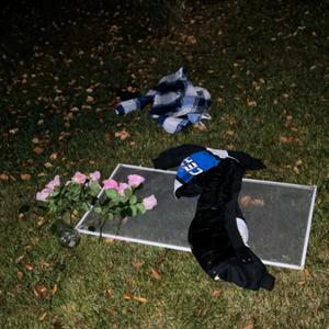 Flourishing (Explicit)