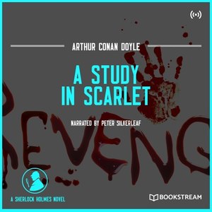 Book 1, Chapter 5: Our Advertisement Brings a Visitor (Part 14)