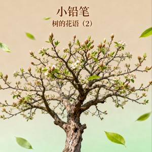 小铅笔 - 树的花语