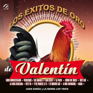 Los Éxitos de Oro de Valentin