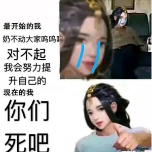 乘云归