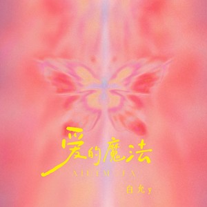 爱的魔法封面