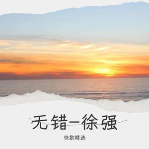 无错-徐强封面