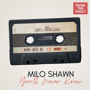 You'll Never Know (Lenny Ruckus Extended Mix)