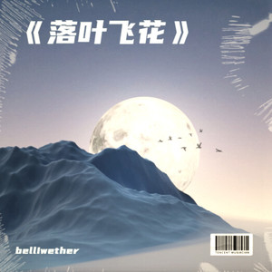 落叶飞花