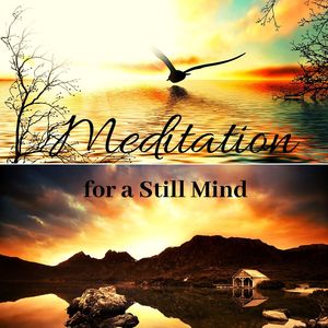 Meditation for a Still Mind: Afternoon Mood Music for Yoga, Mindfulness & Spiritual Calm