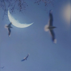 Птичка (Explicit)