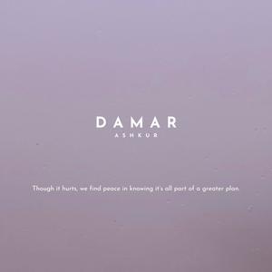 DAMAR