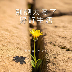 别想太多了 好好生活